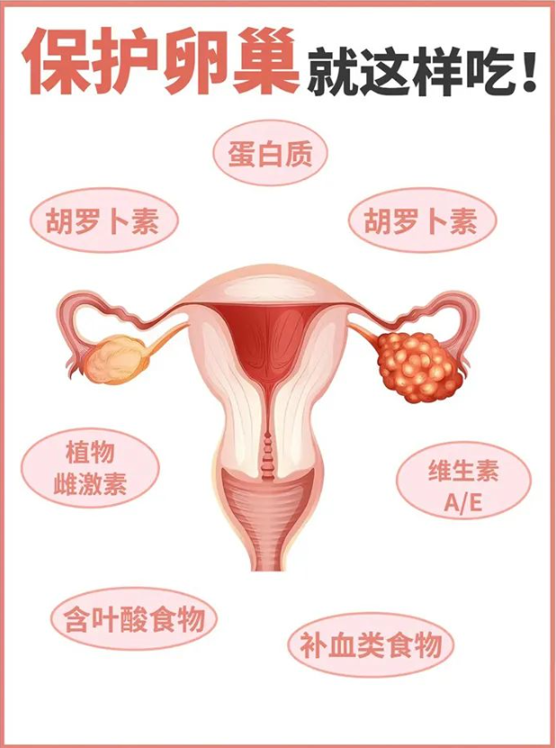 谷方益元女性健康48.png