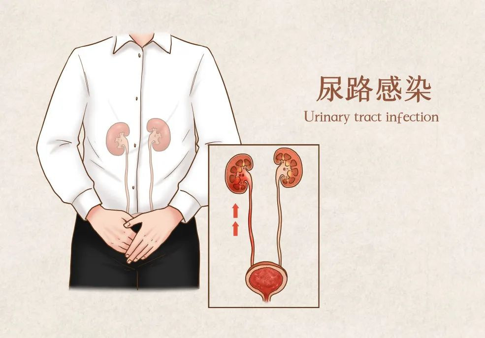 图片42.png