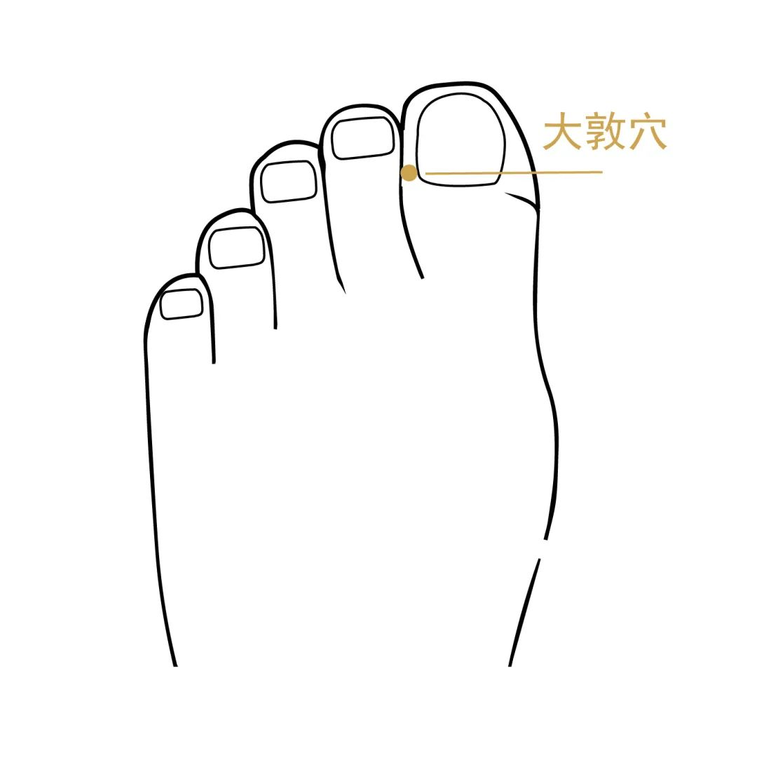 图片51.png