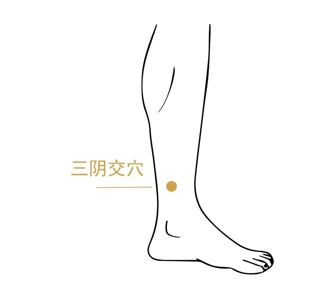 图片53.png