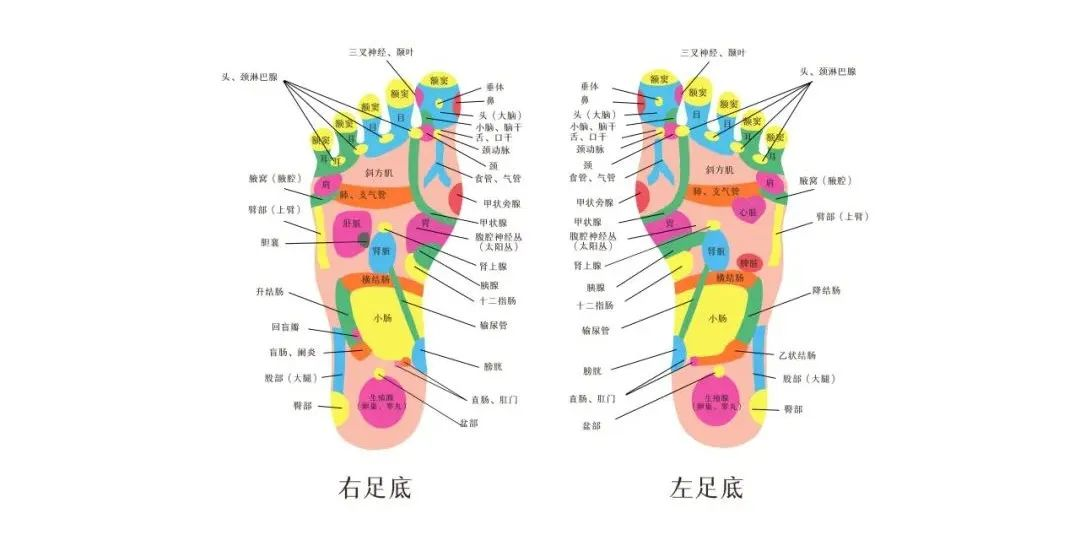 看脚底板可知肝脏健康！一旦脚底变黄，快试试艾灸调理！