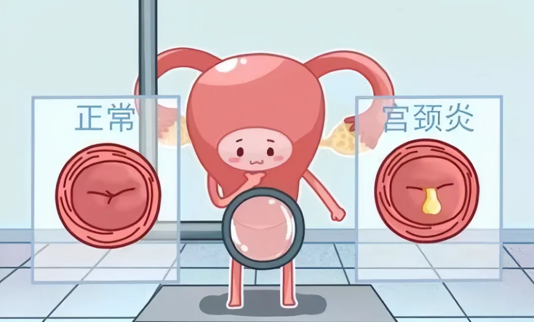 图片103.png