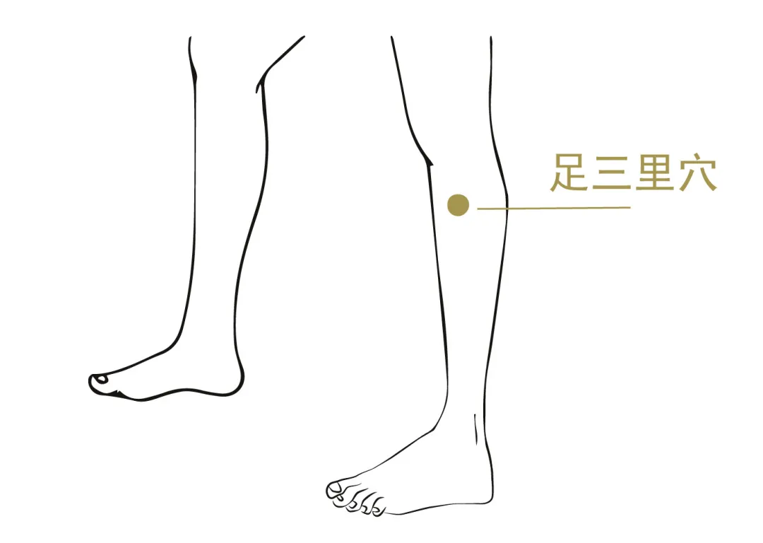 图片49.png