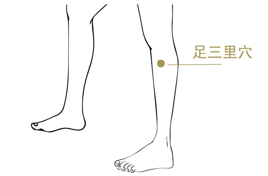 图片55.png