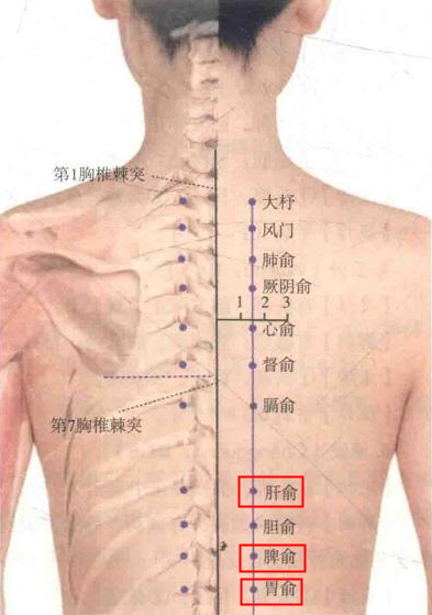 图片56.png