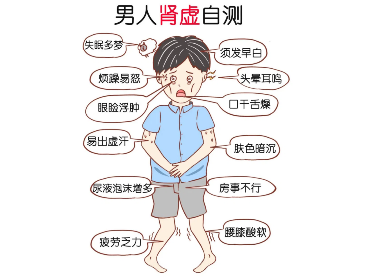 谷方益元揭秘肾虚真相，重塑健康体魄