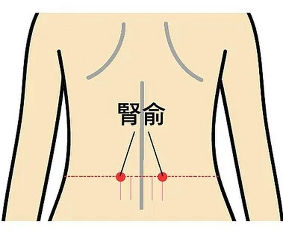 图片61.png
