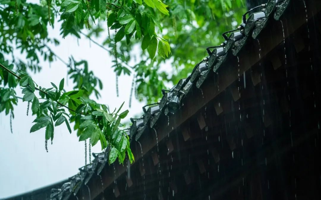 谷雨|湿邪与热邪并行，谷方益元中医教你这样健康养生